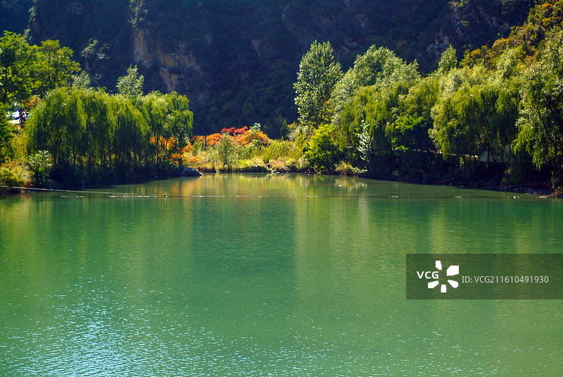 河畔绿树环绕的静谧自然景观图片素材