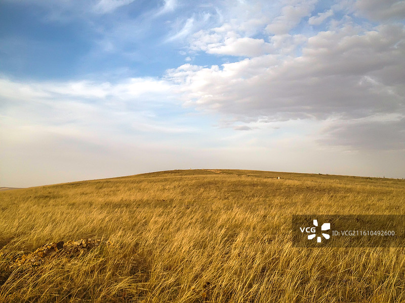 蓝天之下的金色草原山丘图片素材