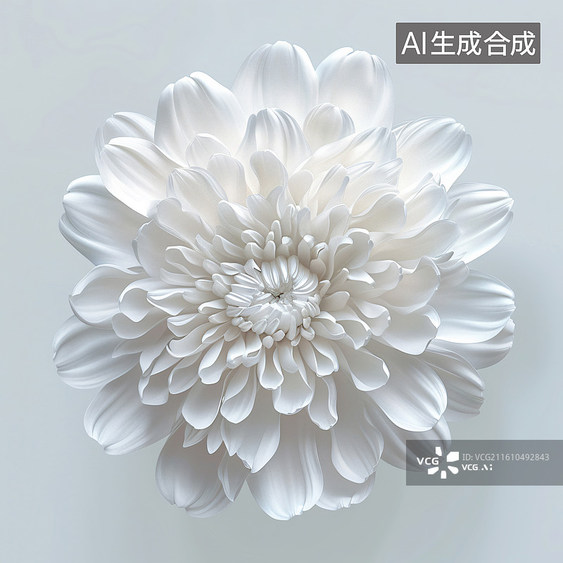 【AI数字艺术】素雅白菊花朵特写装饰插画图片素材