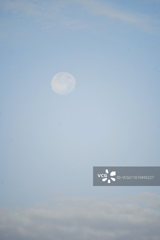 早上8点的月光图片素材