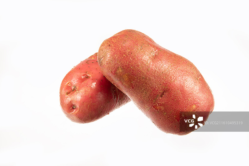白色背景上的山西岢岚县特产红皮土豆图片素材