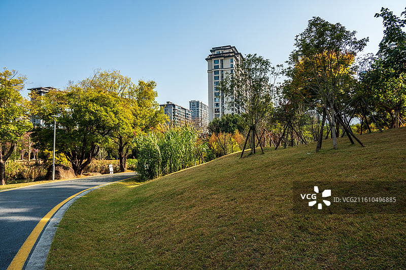 福州晋安公园鹤林生态园秋冬景色生态步道草地植被丛林异木棉花晴天日照（休息凳）三.jpg图片素材