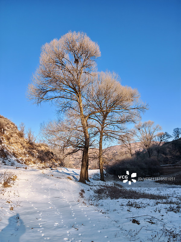 吕梁市岚县黄土高原雪景图片素材