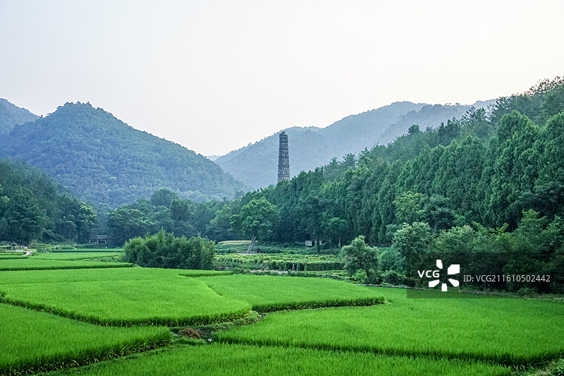天台山山林风光，稻田、远山与隋塔图片素材