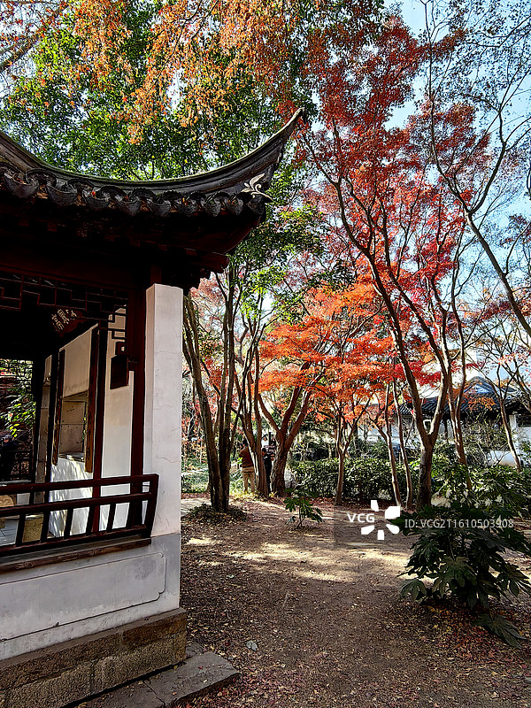 上海市，嘉定区，秋霞圃图片素材