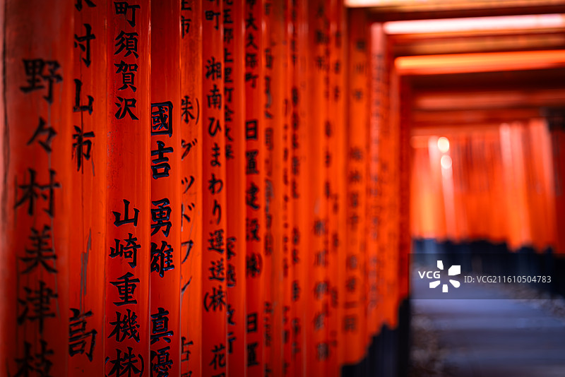 伏见稻荷千本鸟居文字特写，大光圈虚化前后景，黑色书法清晰可见，记录捐赠者姓名和地点，展现神社祈福文化图片素材