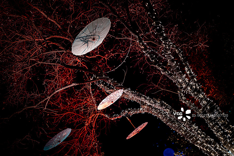 遗爱湖公园夜景图片素材