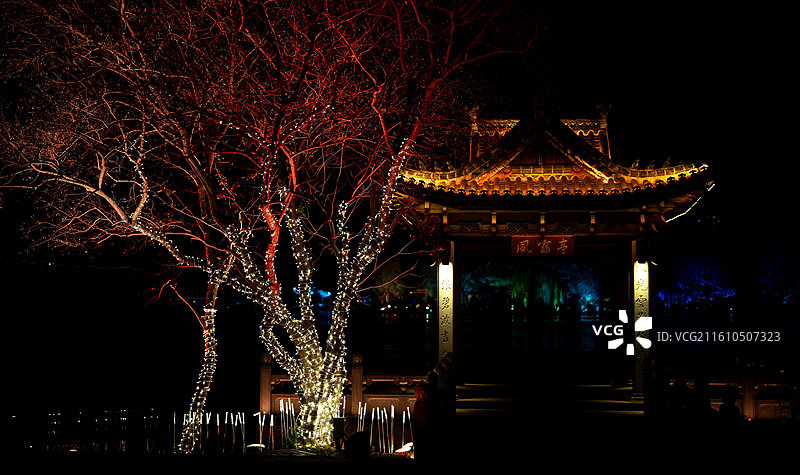 遗爱湖公园夜景图片素材
