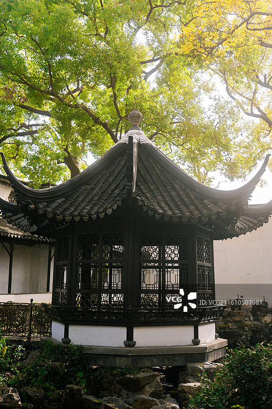 苏州园林 拙政园 艺术 课文 美学 东方 秋天 橘红 绿色 黄色 枫叶 唯美 治愈 温暖 养老图片素材