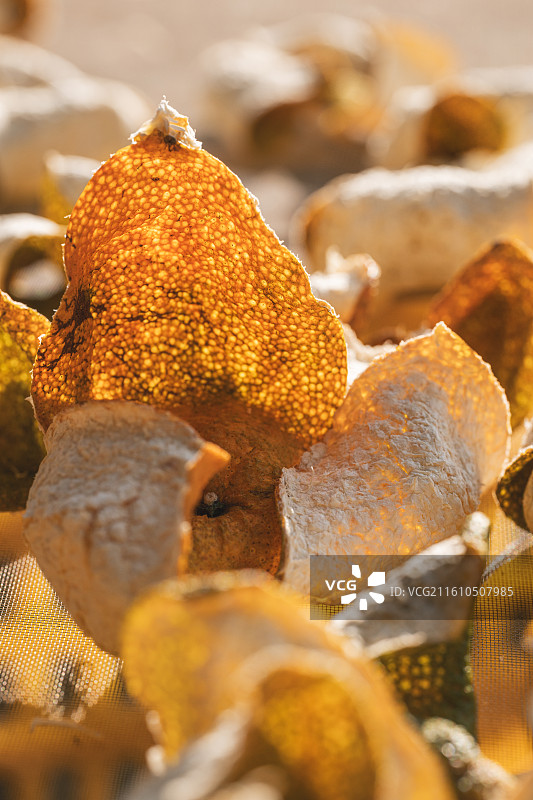 在晒制中的新会陈皮图片素材