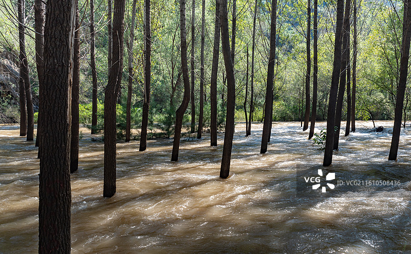夏天北京延庆百里山水画廊白河汛期洪水激流图片素材