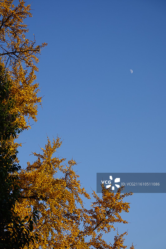 北固山公园图片素材