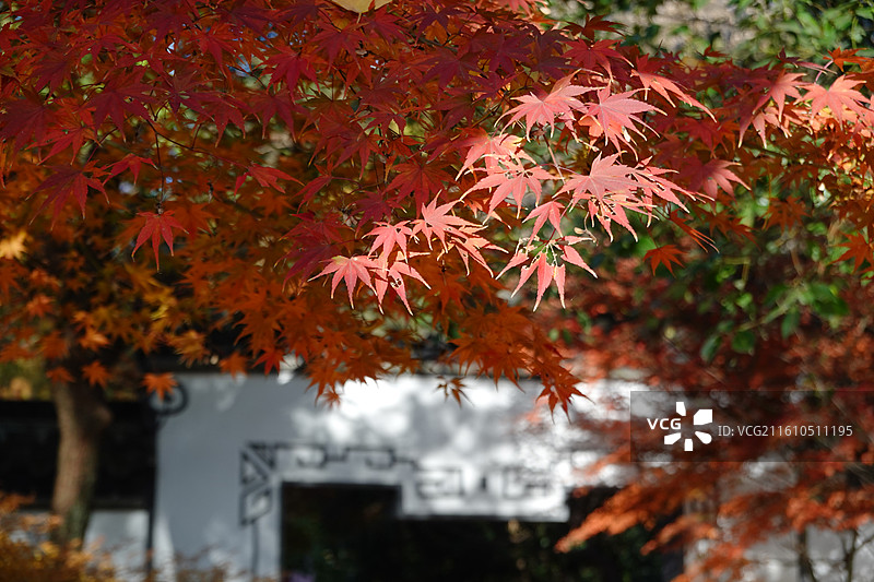 北固山公园图片素材
