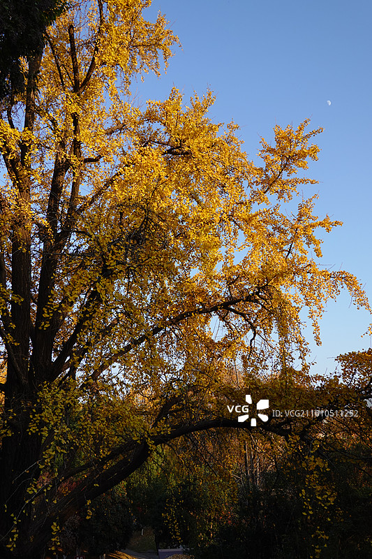 北固山公园图片素材