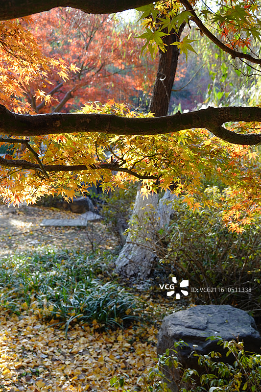 北固山公园图片素材