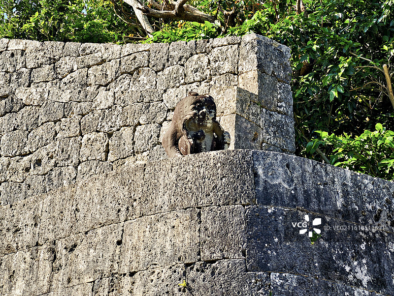 日本冲绳县那霸市，世界文化遗产玉陵（第二尚氏王朝历代陵墓）图片素材