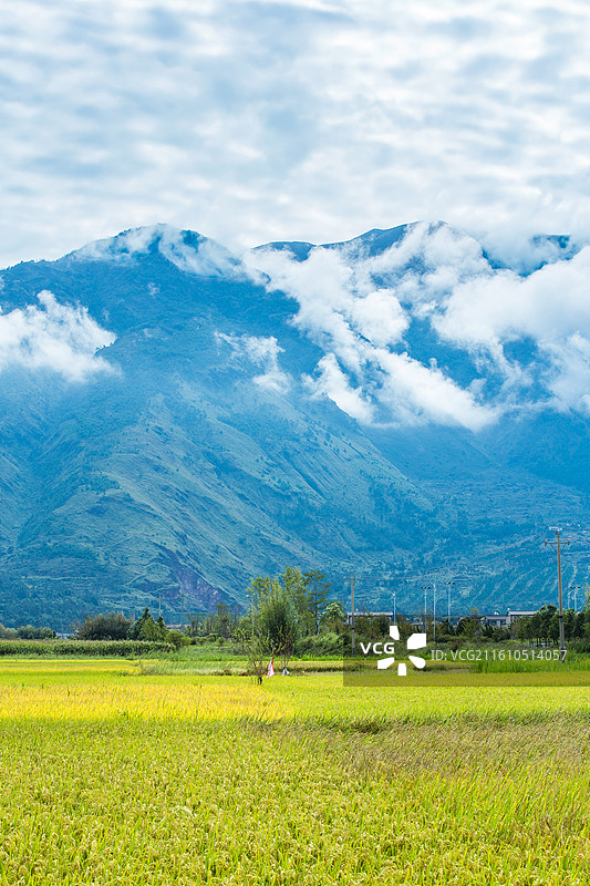 中国云南省大理白族自治州鹤庆县东草海国家湿地公园附近田园风光图片素材