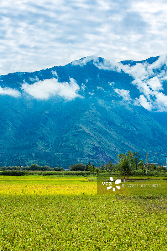 中国云南省大理白族自治州鹤庆县东草海国家湿地公园附近田园风光图片素材