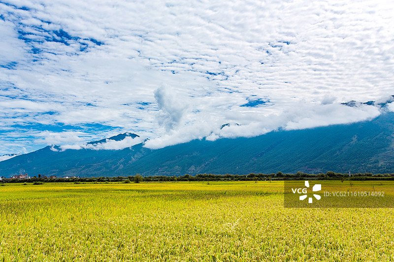 中国云南省大理白族自治州鹤庆县东草海国家湿地公园附近田园风光图片素材