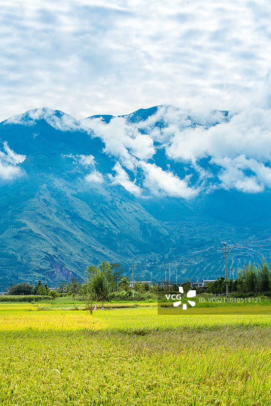 中国云南省大理白族自治州鹤庆县东草海国家湿地公园附近田园风光图片素材