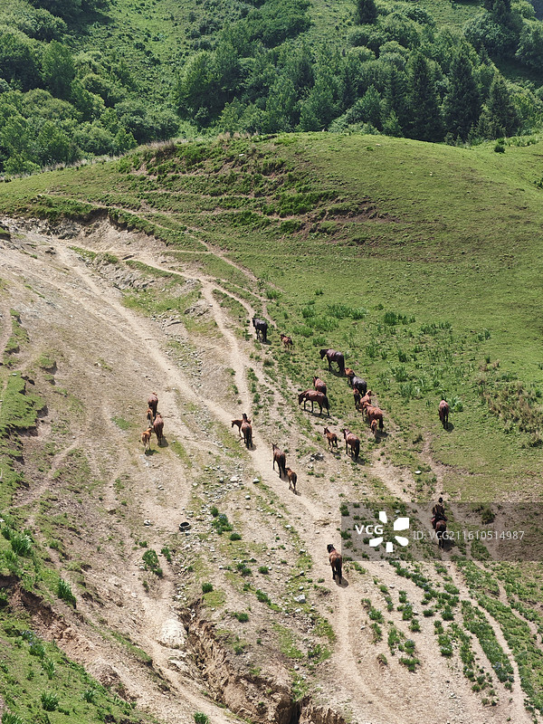 走向水草丰美处图片素材