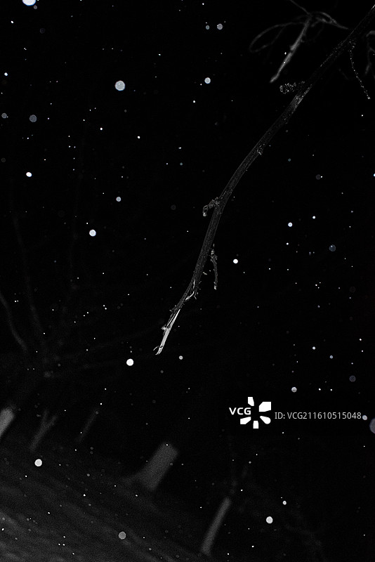 北京的雪：雪亦星空，星空亦雪图片素材
