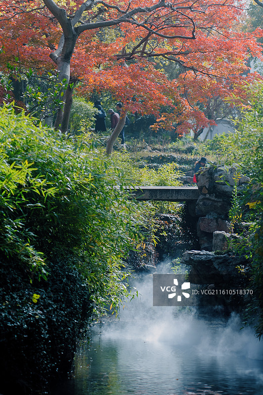 东方美 意境美 美学 苏州园林 禅意 景深 秋天 秋色 枫叶 庭院图片素材