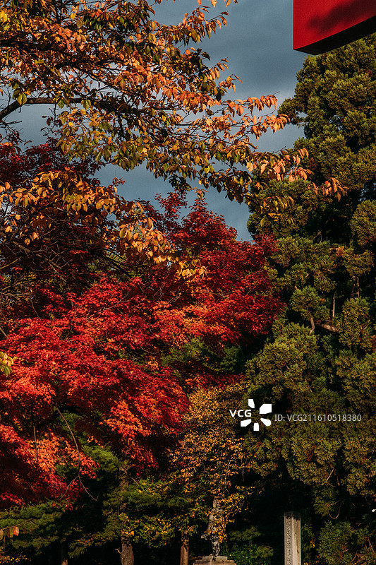 日本岩手盛冈八幡宫神社图片素材