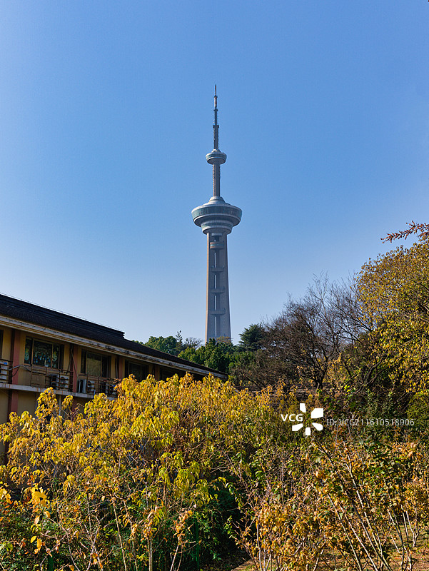 南京古林公园-城市中的市民公园图片素材