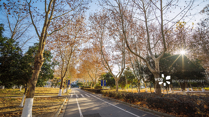 南京晓庄学院风景图片素材