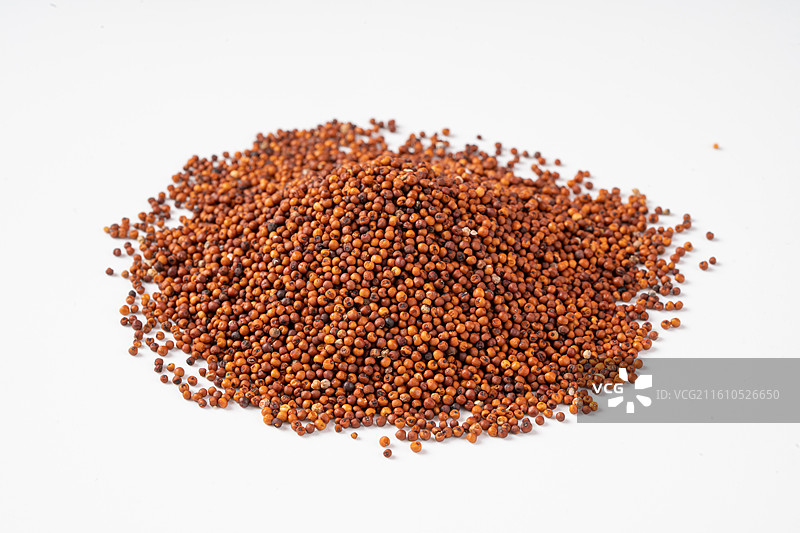 红稗米特写图片素材