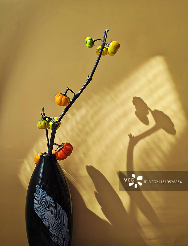 静物：小南瓜插花图片素材