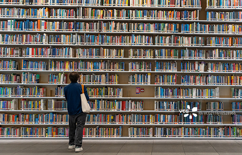 在深圳红山图书馆书墙面前看书的人图片素材