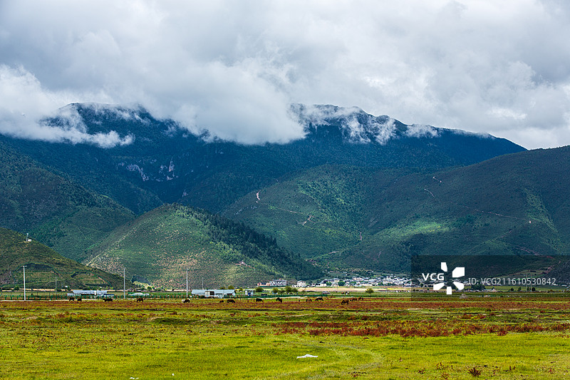 中国云南省迪庆藏族自治州香格里拉高山草原风光图片素材