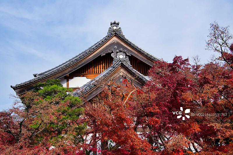 红叶季的永观堂和南禅寺图片素材