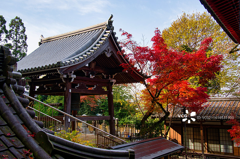红叶季的永观堂和南禅寺图片素材