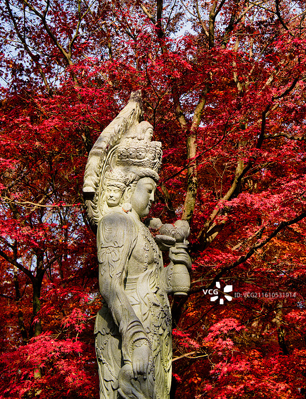 红叶季的永观堂和南禅寺图片素材