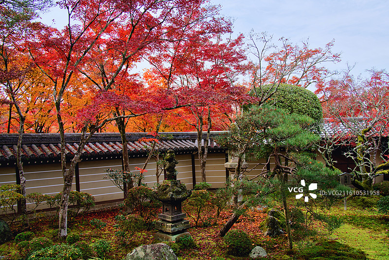 红叶季的永观堂和南禅寺图片素材