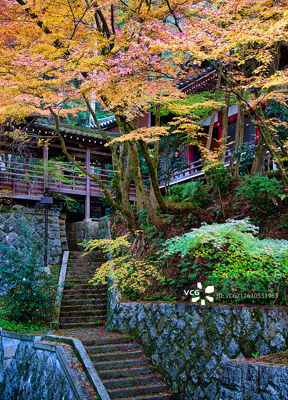 红叶季的永观堂和南禅寺图片素材