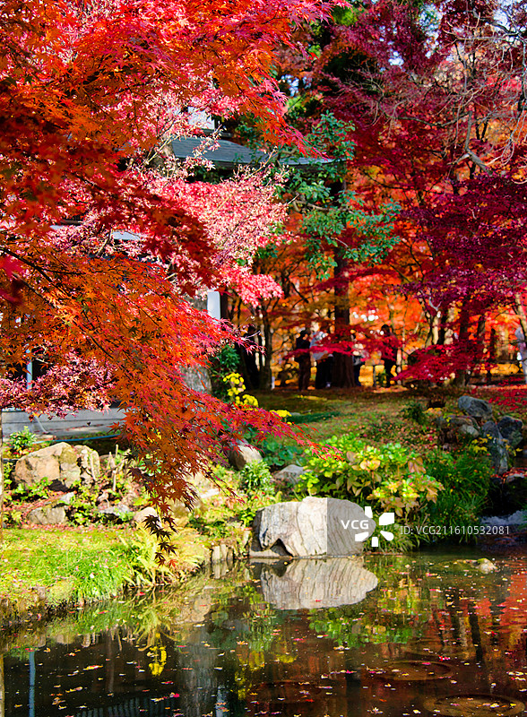 红叶季的永观堂和南禅寺图片素材