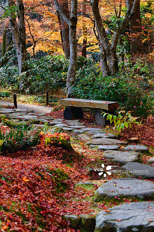 红叶季的京都三千院图片素材