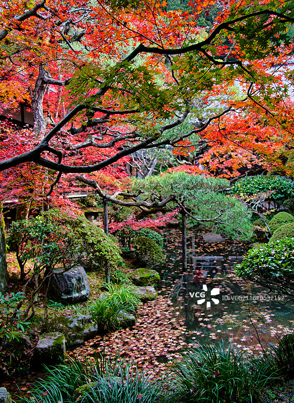 红叶季的永观堂和南禅寺图片素材