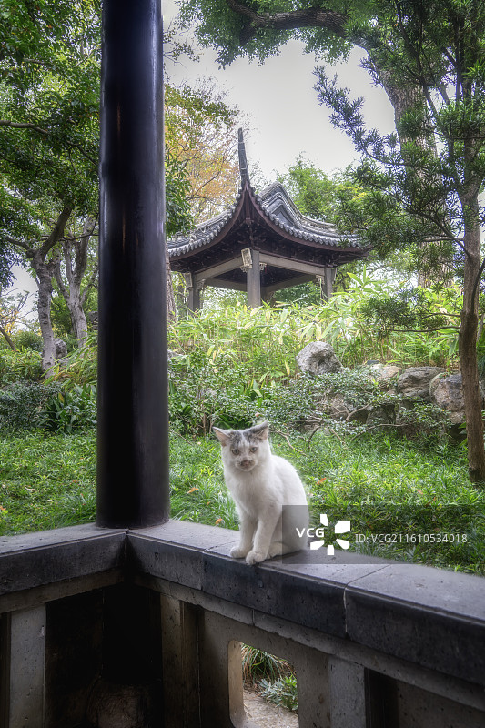 苏州园林--沧浪亭图片素材