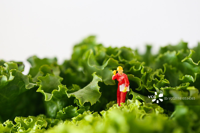 食玩模型图片素材