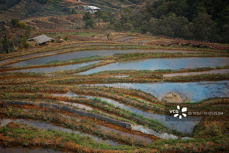 攀枝花米易县“傈僳梯田”景区一景图片素材