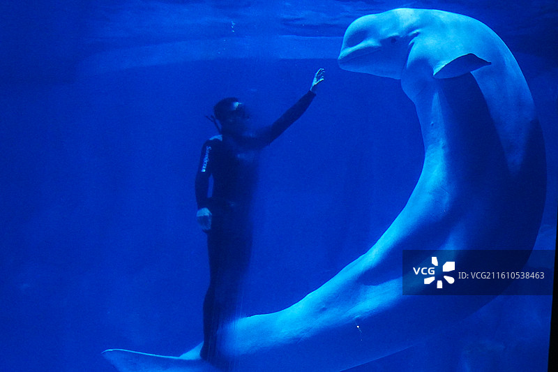 深圳海洋世界图片素材