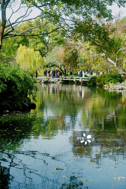 苏州园林 拙政园 艺术 课文 美学 东方 秋天 橘红 绿色 黄色 枫叶 唯美 治愈 温暖 养老图片素材
