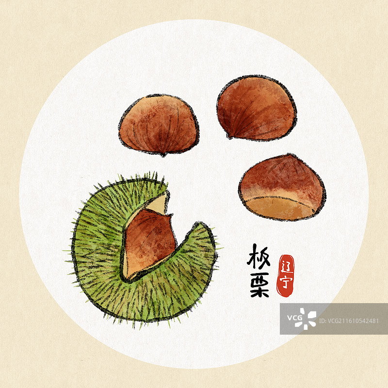 辽宁美食插画-板栗图片素材