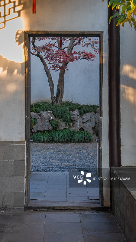 苏州园林 网师园 秋景 古建筑 江南意境 中式美学 世界文化遗产图片素材