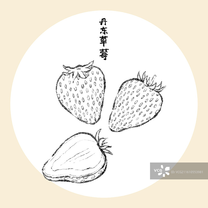 辽宁美食插画-丹东草莓图片素材